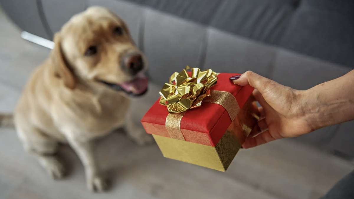Smartphoto Offers Unique Gifts for Pet Lovers