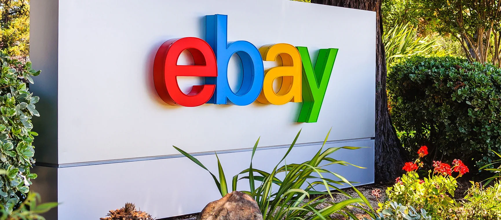 eBay Finds: The Strangest Treasures Up for Auction