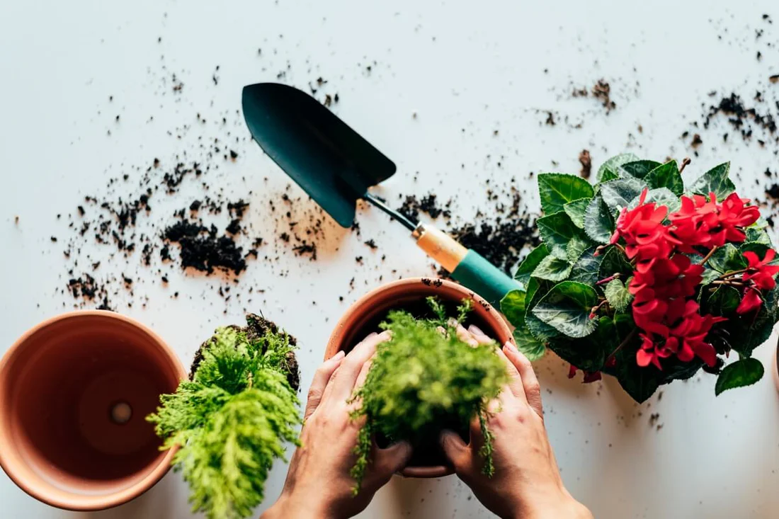 The Range Has Everything You Need for Your Garden in 2024