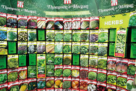 The Best Herb Seeds for Your Garden From Thompson and Morgan