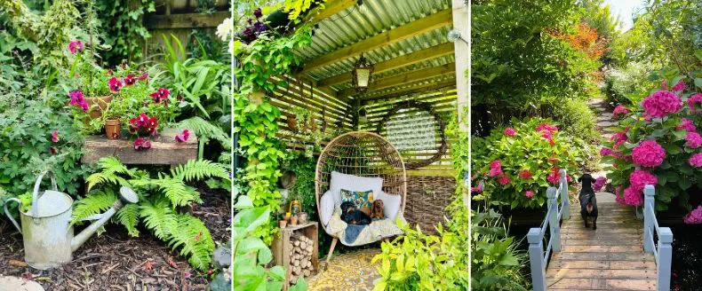 Spruce Up Your Yard With Thompson and Morgan Plants