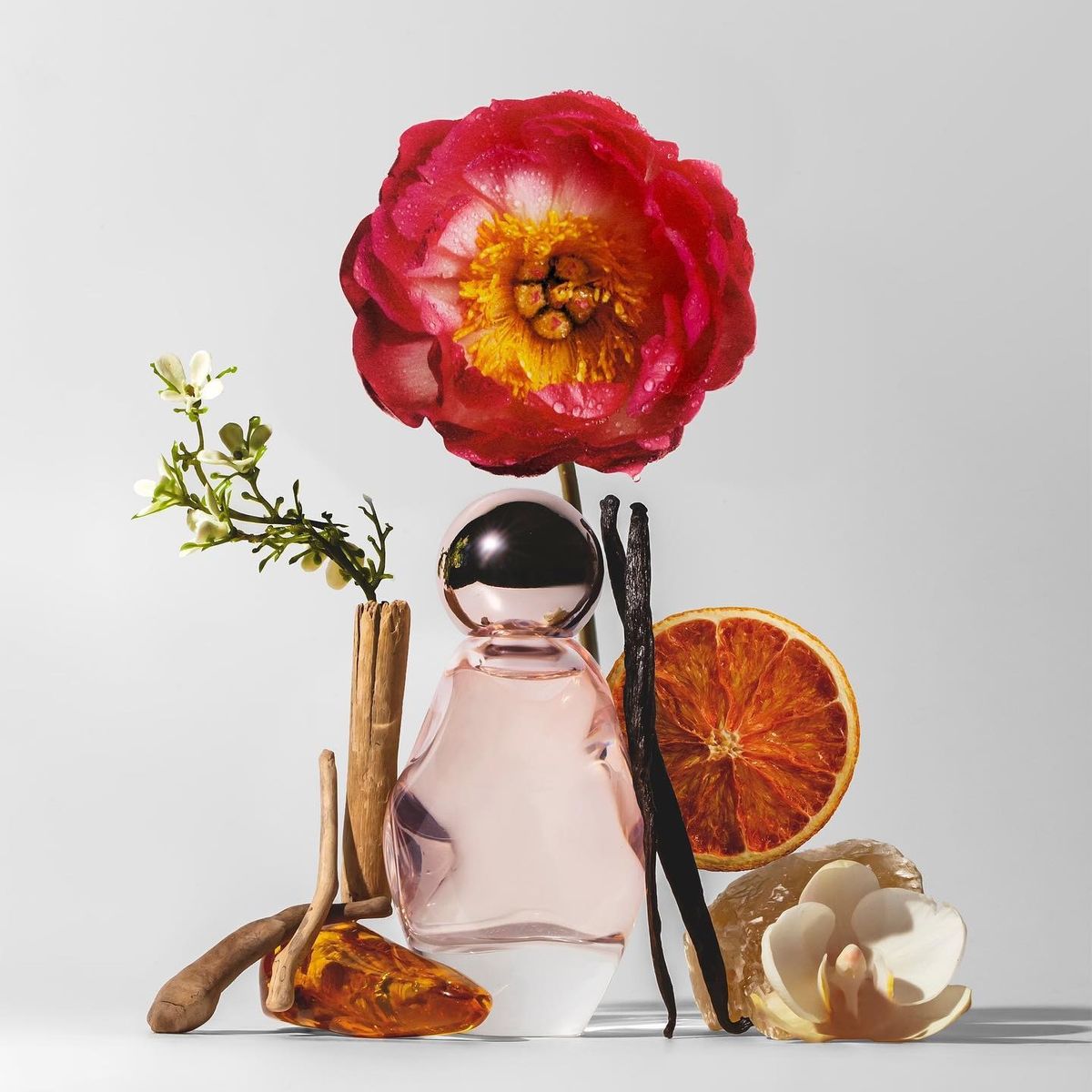 Douglas Fragrance Guide: Find Your Perfect Scent