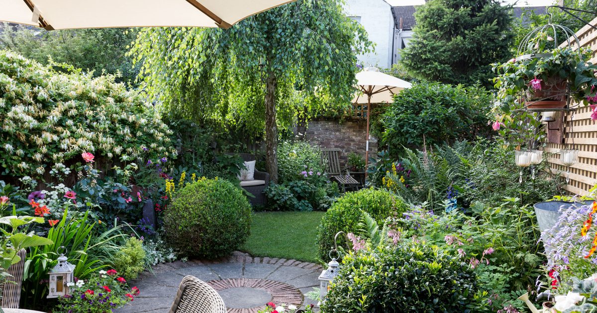 Fast Growing Urban Trees for Small Garden Spaces