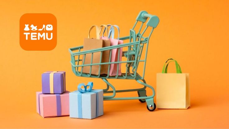 Temu Hidden Gems: Unique Finds Under Budget