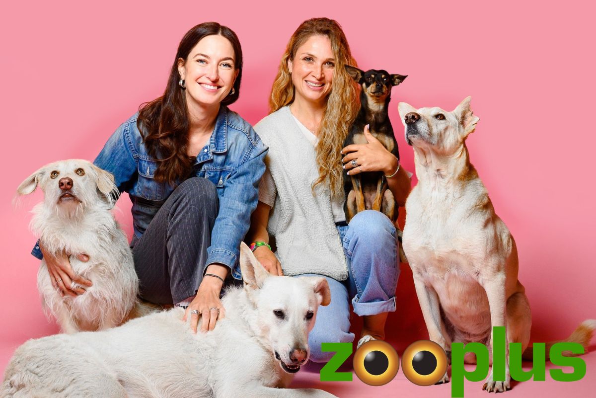 Upgrade Your Dog's Nutrition with Zooplus Premium Brands